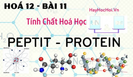 Tính chất hoá học, công thức cấu  tạo của Peptit và Protein - hoá 12 bài 11